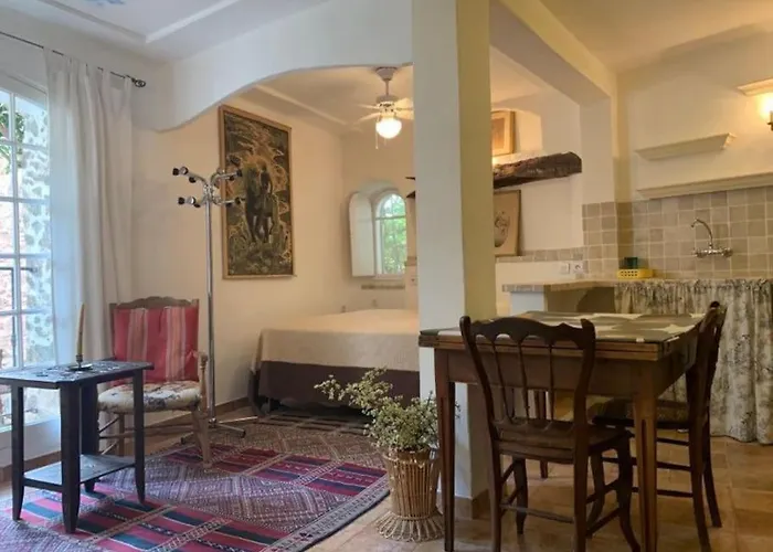 Au Charme Medieval Appartement La Garde (Var)